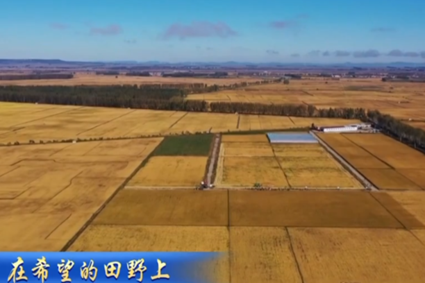 多項政策發力 積極因素加快積累 經濟運行持續向“穩”向“好”態勢